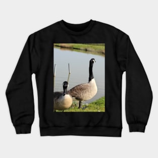 beautiful nature, wild geese, gift Crewneck Sweatshirt